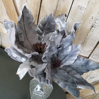 Pointed Blue Velvet Poinsettia