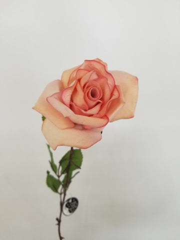 Light Pink Rose Stem