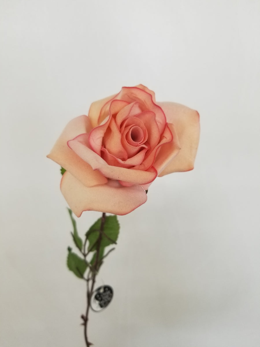 Light Pink Rose Stem