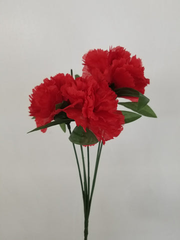 Red Carnation Pick