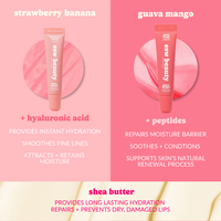 Pink Sorbet Perfect Pout Lip Kit