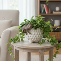Raccoon Pot Hanger