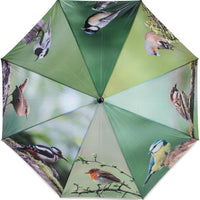 Bird Umbrella