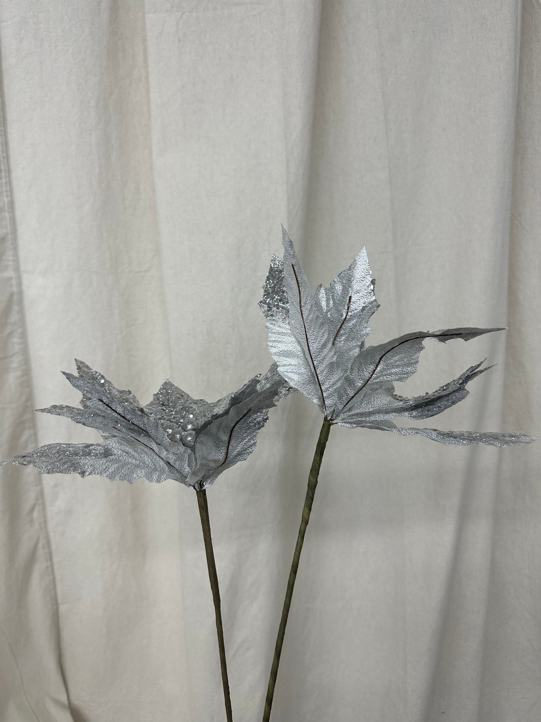 Silver Glitter Poinsettia