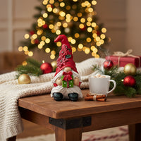 Christmas Gnome