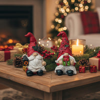 Christmas Gnome