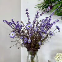 Aster Delphinium Bush - Purple - 23"