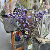Aster Delphinium Bush - Purple - 23"