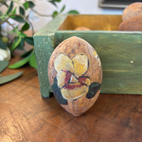 Gourd Eggs - Nature