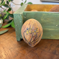 Gourd Eggs - Nature