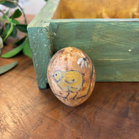 Gourd Eggs - Nature