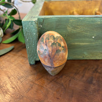 Gourd Eggs - Nature