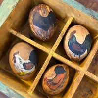 Gourd Eggs - Chickens