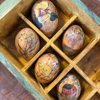 Gourd Eggs - Nature