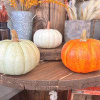 Pumpkins - 6"