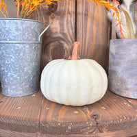 Pumpkins - 6"