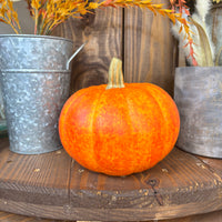 Pumpkins - 6"