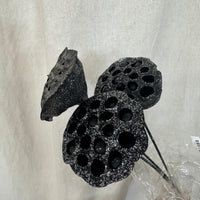 Black Opal Glitter Lotus Pods