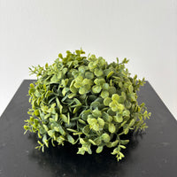 7" Boxwood Half Ball