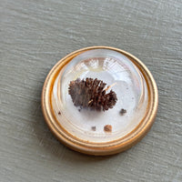 Tiny Treasures Magnets