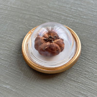 Tiny Treasures Magnets