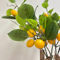 Faux Lemon Branches