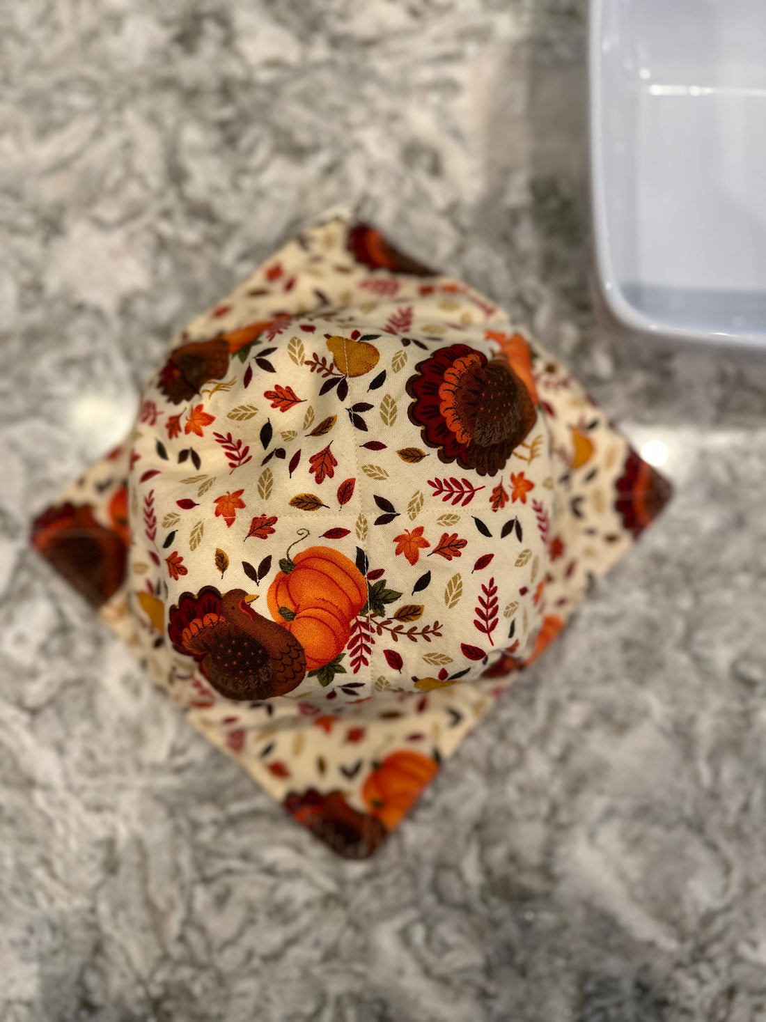Turkeys and Pumpkins Bowl Cozy
