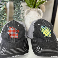 Distressed Wisconsin Hat