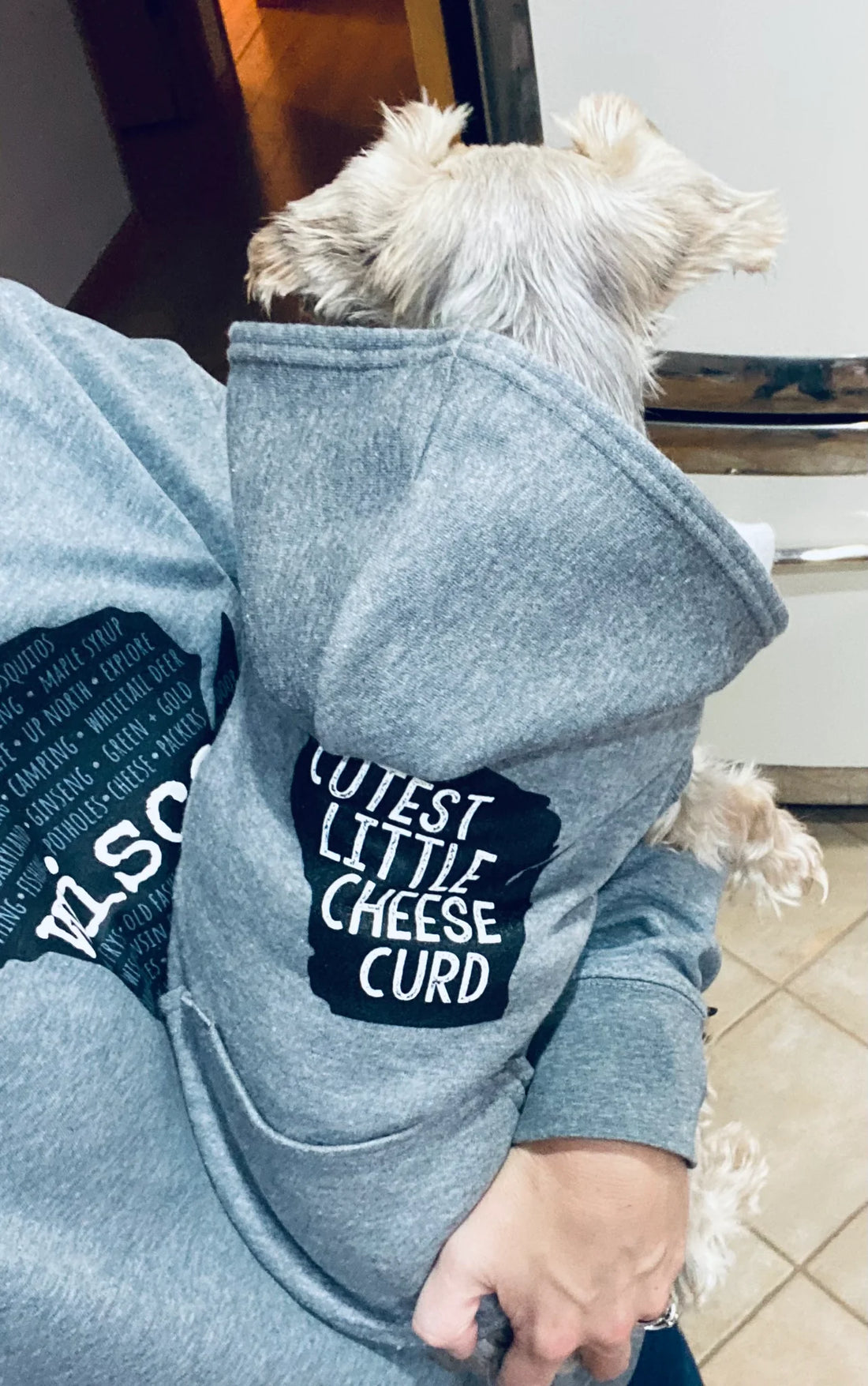 Cutest Little Cheese Curd Pet Hoodie - Grey