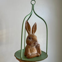 Thinking Bunny