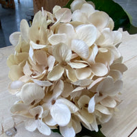 13" Cream Hydrangea Pick