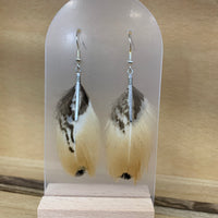 Pheasant Feather Drop Earrings