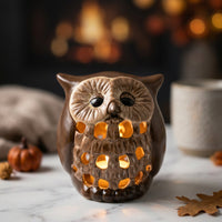 Owl Ceramic DIY Kit