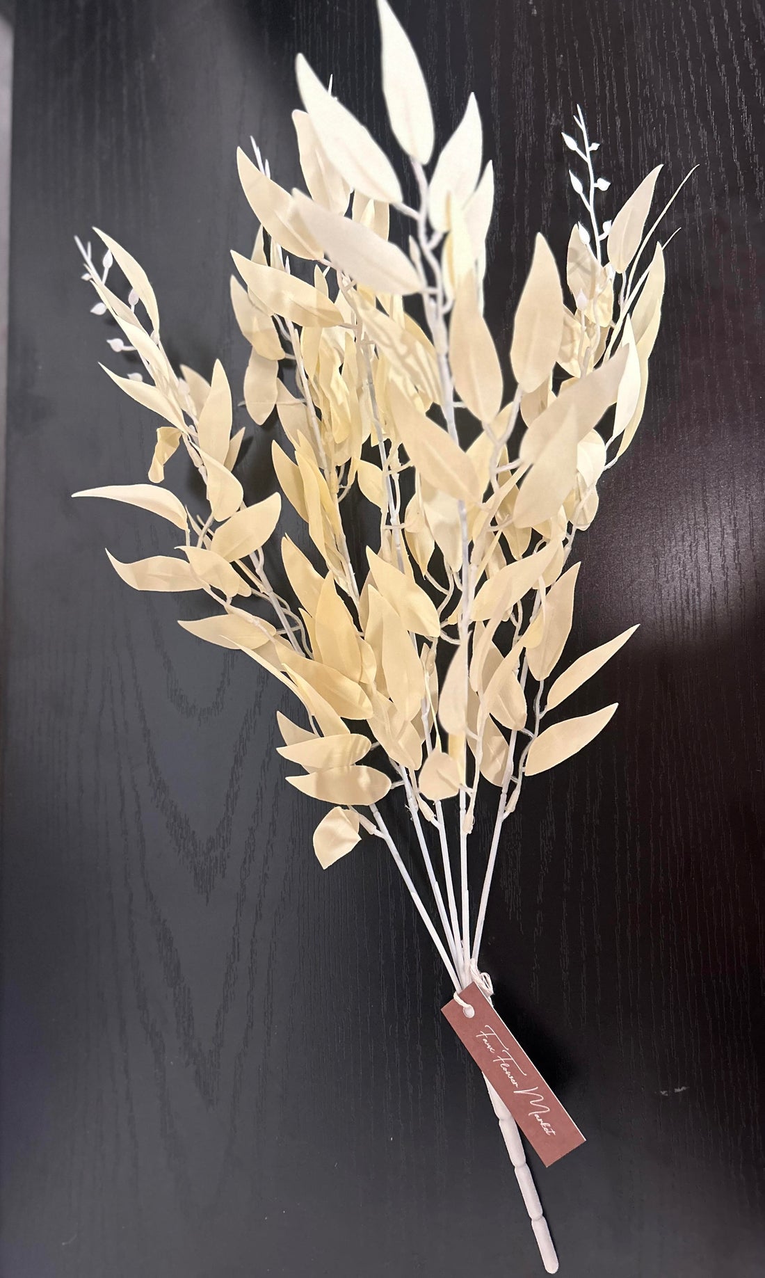 Tan Willow Bush
