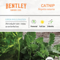 Catnip Seed Packet (Nepeta cataria)