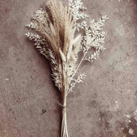 White Boho Scandi Dried Flowers Mix