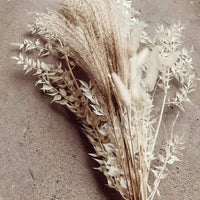 White Boho Scandi Dried Flowers Mix