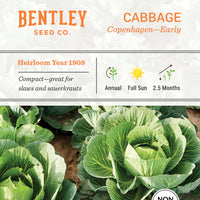 Cabbage, Copenhagen Early Seed Packet (Brassica oleracea var. capitata)