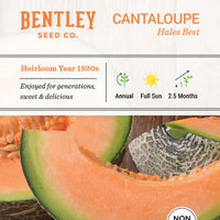 Cantaloupe, Hale's Best Seed Packet (Cucumis melo var. cantalupensis)