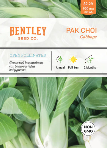 Cabbage, Pak Choi Seed Packet (Brassica oleracea var. capitata)