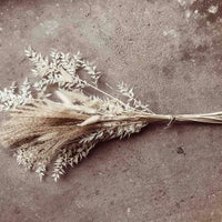 White Boho Scandi Dried Flowers Mix