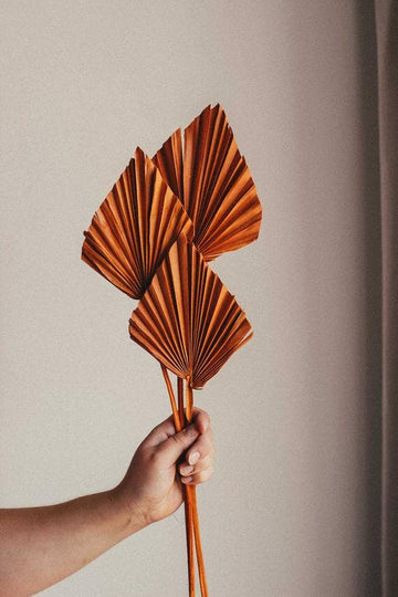 Dried Palm Leaf Spear - Orange