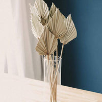 Dried Palm Leaf Spear - Natural