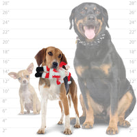 Mighty Jr Arctic Santa