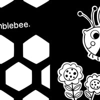 Hello, Garden Bugs Board Book