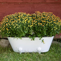 White Enamel Bathtub