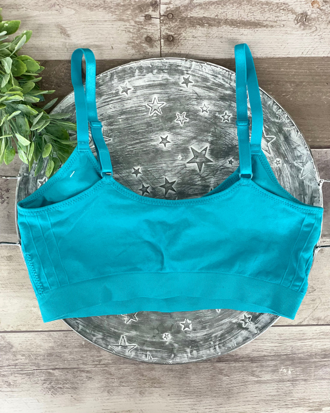 Coobie Scoopneck Cami Bra - Island Blue