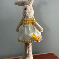 Mr. and Mrs. Garden Bunny
