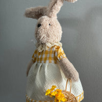 Mr. and Mrs. Garden Bunny