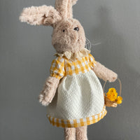 Mr. and Mrs. Garden Bunny
